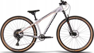 Rower dziecięcy Eightshot X-COADY 275 Disc / 10 Grey one size 1
