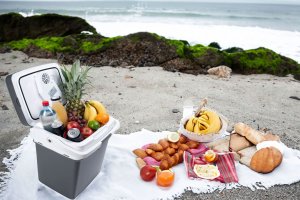 Lodówka turystyczna Bauerkraft Lodówka turystyczna przenośna samochodowa 29L 220-240V DC12V funkcja grzania grafitowa 3