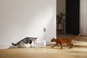 MOVA WF10 Pro by Dreame - Dozownik Wody Poidełko Dla Kota i Psa, Fontanna, Wodospad - Cichy 11