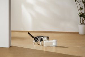 MOVA WF10 Pro by Dreame - Dozownik Wody Poidełko Dla Kota i Psa, Fontanna, Wodospad - Cichy 9