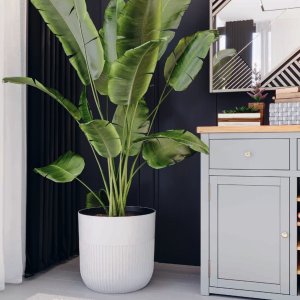 Doniczka okrągła LUCA 30 z wkładem Donica + wkład dystansowy 7