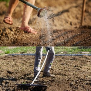 Mieszanka traw Emeralld na tereny suche 1kg 3