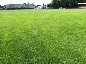 Mieszanka traw Emeralld na tereny suche 1kg 6