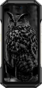 Ulefone Armor 27 12/256GB Dual Sim Czarny 2