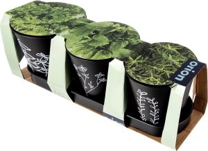 Doniczka na zioła na podstawce BLACKLINE 4 el. 5