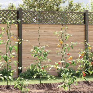 vidaXL Spiralne wsparcie dla roślin Zielone Metalowe 170 cm 1