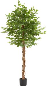 Sztuczne drzewo fikus Fida, realistyczna tekstura - 180 cm 1