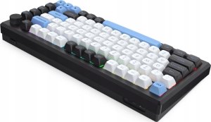 Klawiatura Redragon Uranus Pro 82 Leopard L (6950376728845) 6