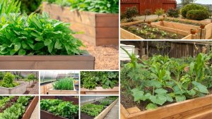 Drewniana grządka kaskadowa ZP04 / 78x75 cm/ Czarna Drewno Sosnowe 8