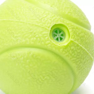 Piłeczka 6cm zabawka dla psa z piszczkiem odporna na gryzienie 8