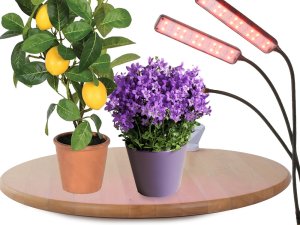 Lampa do uprawy roślin LED z trzema ramionami zasilana przez USB, 10W 12