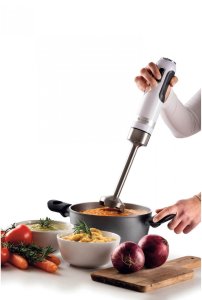 Ariete 602/01 Moderna 4