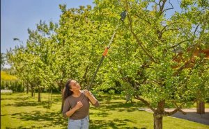 Sekator Gardena 12081-20 kowadełkowy 11