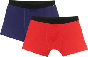 Bokserki męskie 4F M059 2-pak multikolor 1 4FWMM00UBXSM059 91S 2XL 1