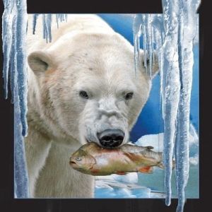 Worth-Keeping Pocztówka 3D Niedźwiedź polarny z rybą (182747) 1