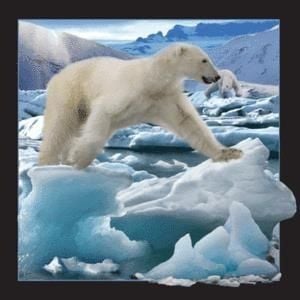 Worth-Keeping Magnes 3D Niedźwiedź Polarny w skoku (182520) 1