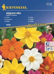 Dalia 'Mignon-Mix' - Nasiona - Kiepenkerl 1