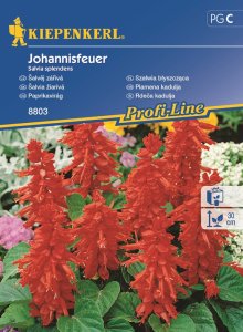 Szałwia błyszcząca 'Johannisfeuer'- Nasiona - Kiepenkerl 1
