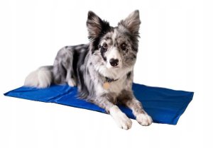 AC Cooling pad L size 50*90cm blue 4