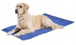 AC Cooling pad L size 50*90cm blue 5