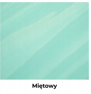 IMPREGNAT BARWIĄCY DO DREWNA Z SILIKONEM 2w1 ALTANA KOLOR MIĘTOWY H1553 5L 11