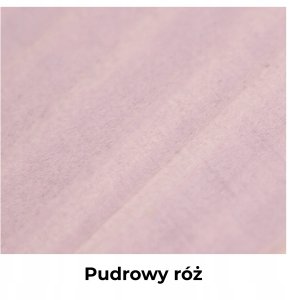 IMPREGNAT BARWIĄCY DO DREWNA Z SILIKONEM 2w1 KOLOR PUDROWY RÓŻ H3250 5L 11