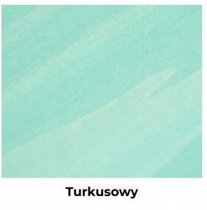 IMPREGNAT BARWIĄCY DO DREWNA Z SILIKONEM 2w1 DESKI KOLOR TURKUSOWY H1441 5L 11