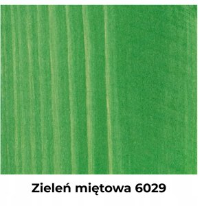 IMPREGNAT BARWIĄCY DO DREWNA Z SILIKONEM 2w1 KOLOR ZIELEŃ MIĘTOWA 6029 5L 11