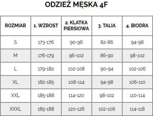 Polar męski 4F M289 granatowy 4FWMM00TFLEM289 31S S 6