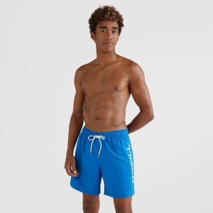 Męskie szorty O'neill Cali Shorts victoria blue rozmiar S 3