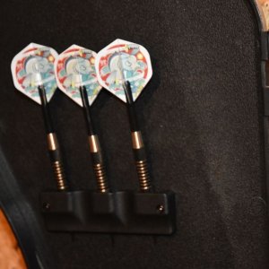 Tarcza do darta Sunflex Spirit E-dart 45145 5