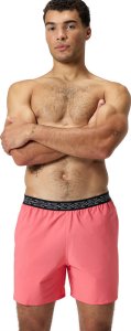 Speedo Męskie Szorty Hyperboom Band 16" Wsht Am  rozmiar M 5