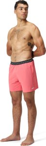 Speedo Męskie Szorty Hyperboom Band 16" Wsht Am  rozmiar M 9