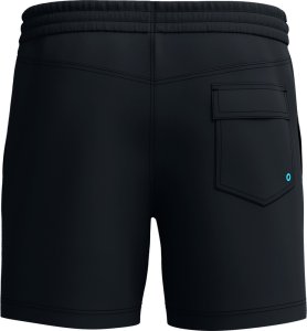 Speedo Męskie Szorty Medley Logo 16" Watershort Am  rozmiar S 4