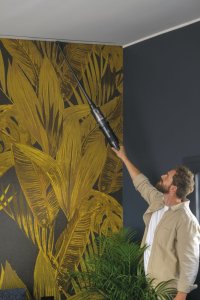 Vacuum cleaner Hoover HFX10P 011 13