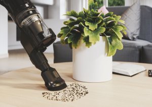 Vacuum cleaner Hoover HFX10P 011 30