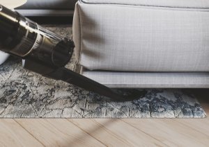 Vacuum cleaner Hoover HFX10P 011 34