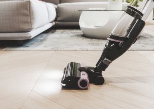 Vacuum cleaner Hoover HFX10P 011 41