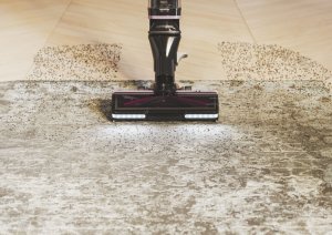 Vacuum cleaner Hoover HFX10P 011 51