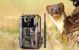 Suntek SUNTEK FOTOPUŁAPKA KAMERA LEŚNA 4G LTE FULLHD 44xIR 20MP WODOODPORNOŚĆ IP66 2