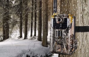 Suntek SUNTEK FOTOPUŁAPKA KAMERA LEŚNA 4G LTE FULLHD 44xIR 20MP WODOODPORNOŚĆ IP66 4