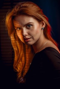 NEWELL NL4210 Strumienica Perseo-33 z mocowaniem Bowens 4