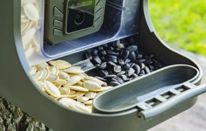 SUNTEK BC303W Fotopułapka na ptaki z karmnikiem 4