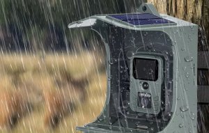 SUNTEK BC303W Fotopułapka na ptaki z karmnikiem 5