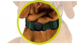 Mobile Origin AirTag Pet Collar, black 4