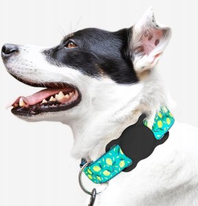 Etui na Apple AirTag silikonowe na obrożę psa lub kota - czarne 3