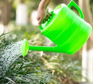 Black Forest | Konewka ogrodowa 10l | owalna plastikowa do podlewania z sitkiem podlewaczka 2