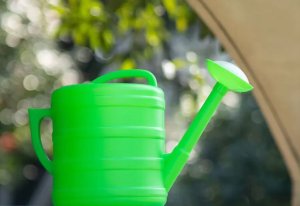 Black Forest | Konewka ogrodowa 10l | owalna plastikowa do podlewania z sitkiem podlewaczka 3