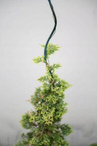 PODPORA DO ROÅLIN SPIRALNA 180CM 2