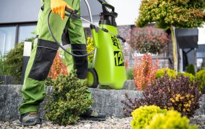 NO PEST Wózkowy na Kółkach 12L z Wymiennymi Dyszami i Regulowaną Lancą Spryskiwacz do Oprysków Gardenblast Precision 9